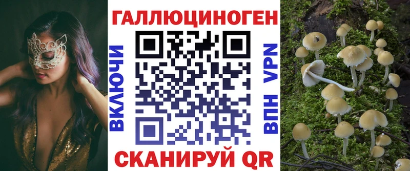 где найти наркотики Алексеевка Псилоцибиновые грибы Cubensis