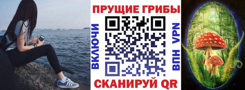 Галлюциногенные грибы MAGIC MUSHROOMS Алексеевка
