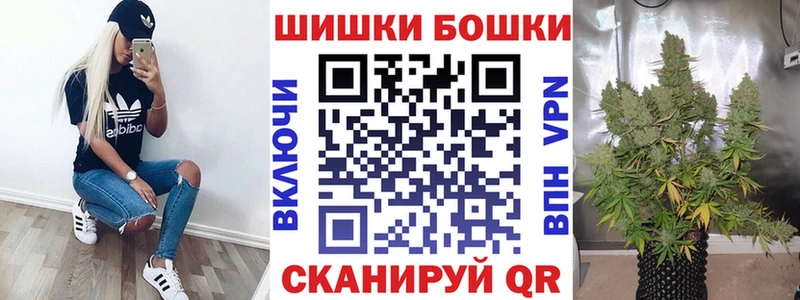 купить Алексеевка Каннабис Amnesia